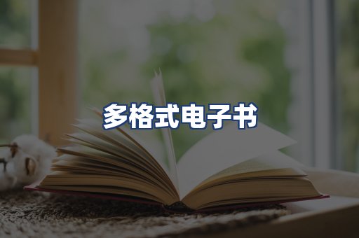 多格式电子书